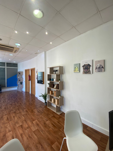 Tanatorio de Mascotas en Barcelona "Su Amor Deja Huella"